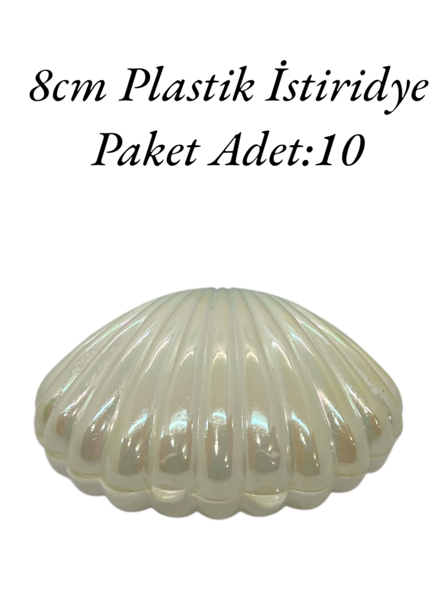 Plastik İstiridye Kutu