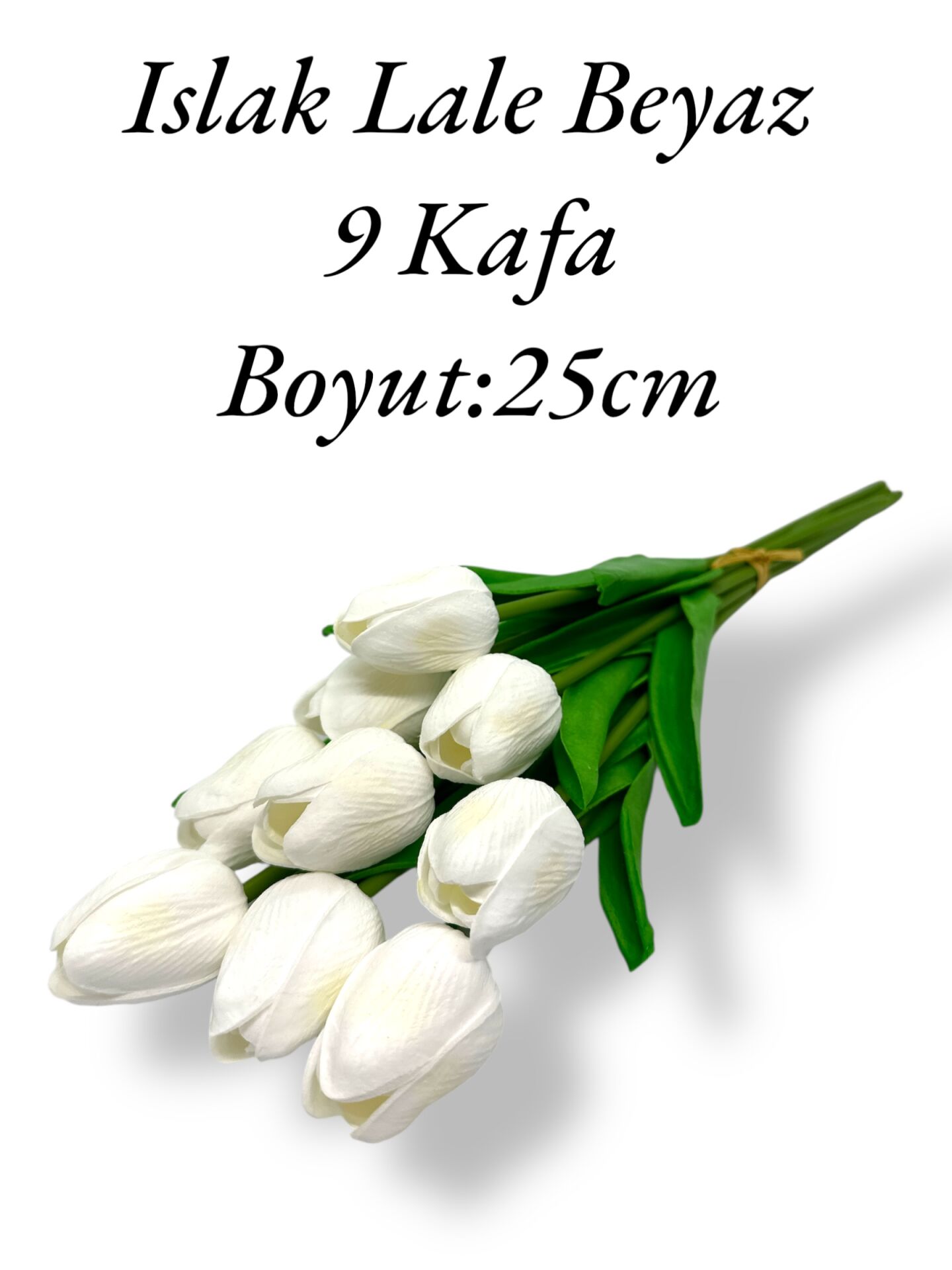 Islak Lale Beyaz