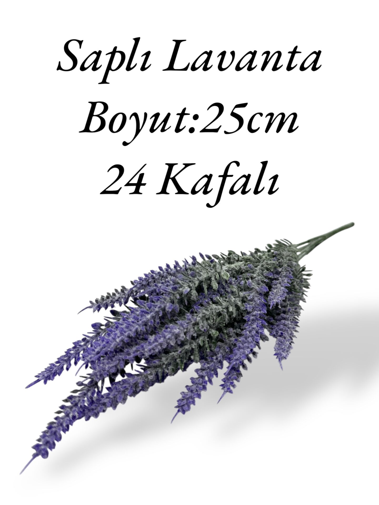 Saplı Lavanta