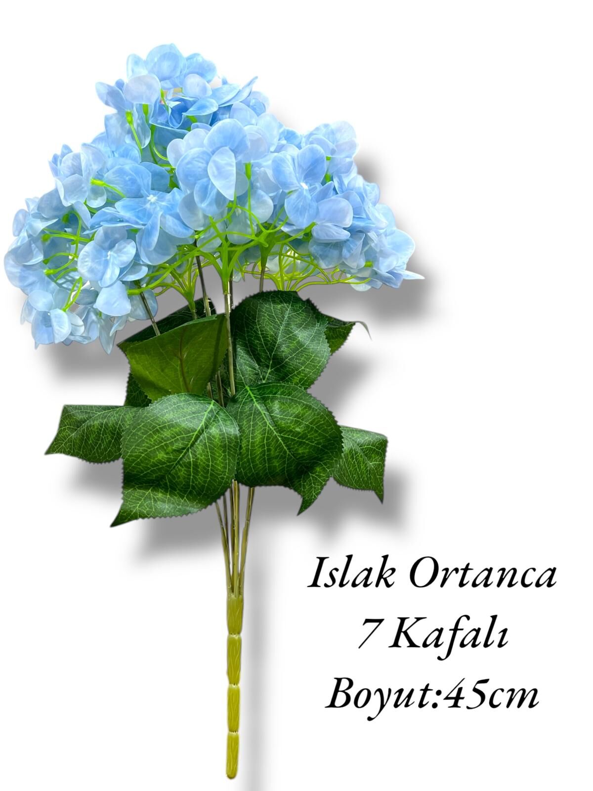 Islak Demet Ortanca 7 Kafalı Mavi