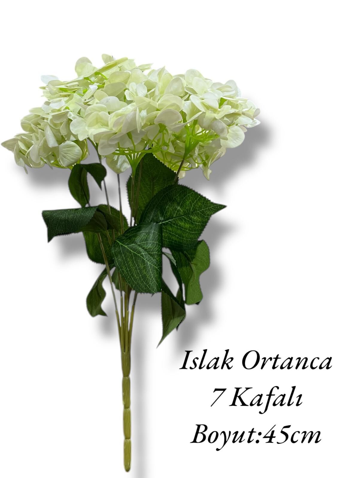 Islak Demet Ortanca 7 Kafalı Krem