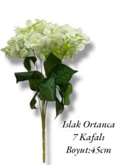 Islak Demet Ortanca 7 Kafalı Krem