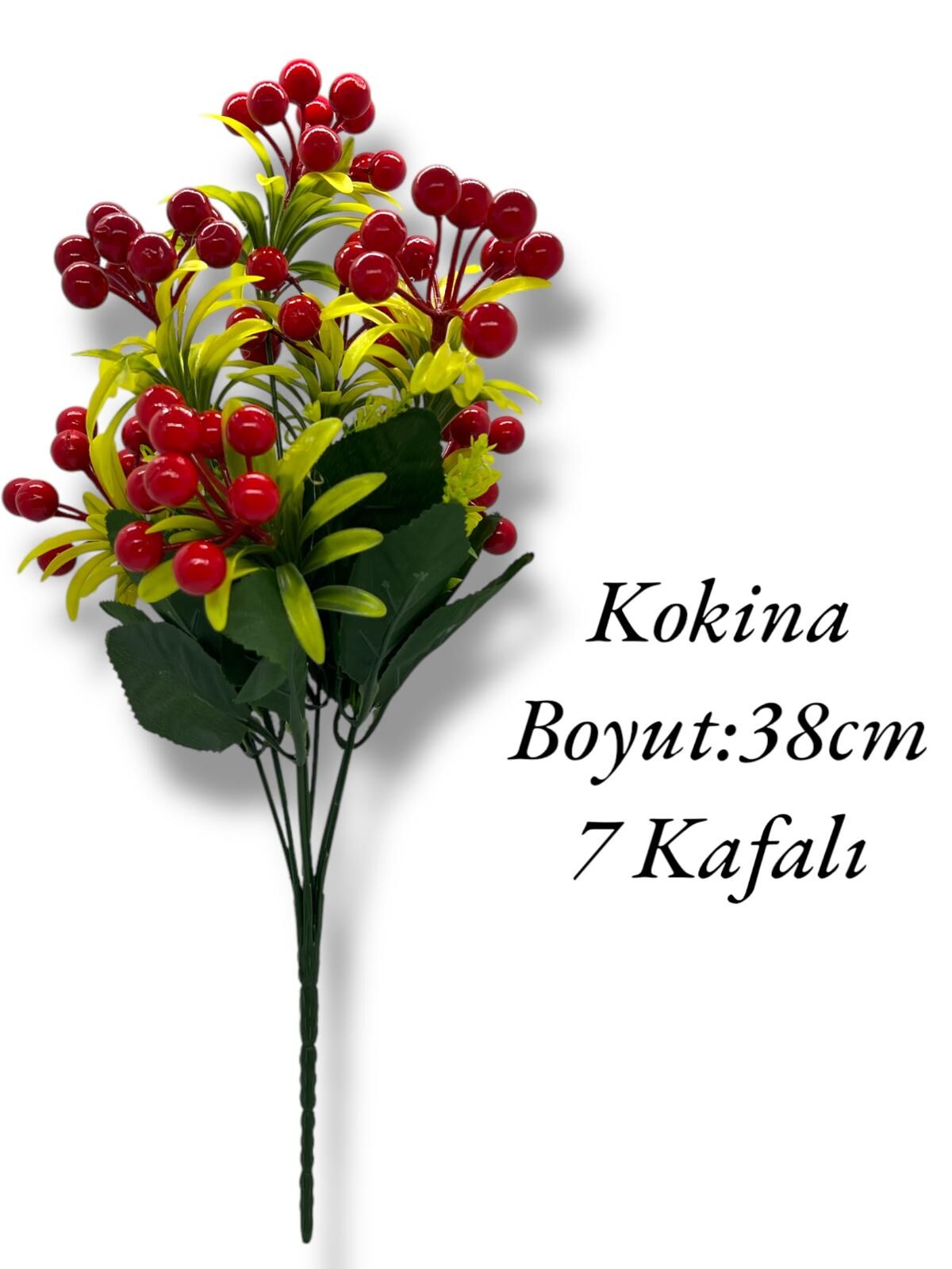 Kokina Çiçek