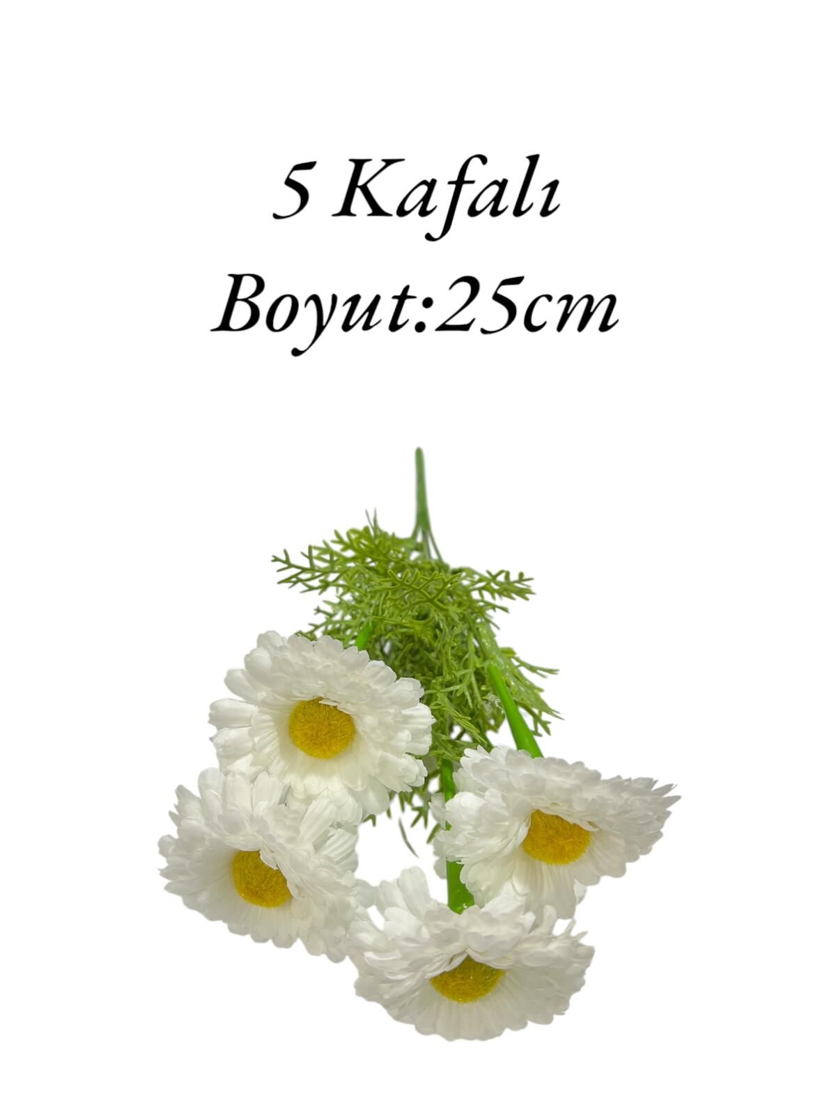 Saplı Papatya