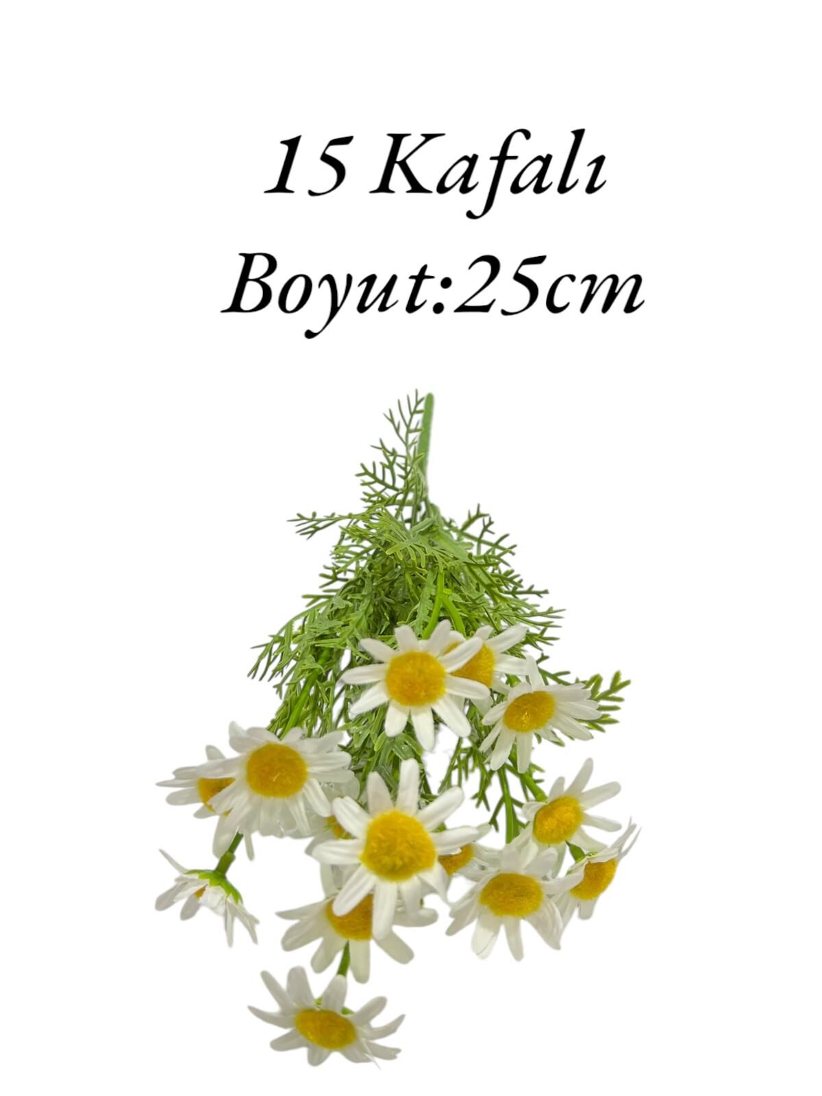 Saplı Papatya