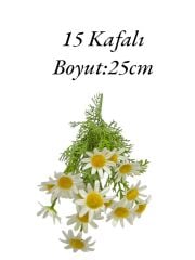 Saplı Papatya