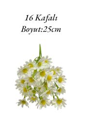 Saplı Papatya