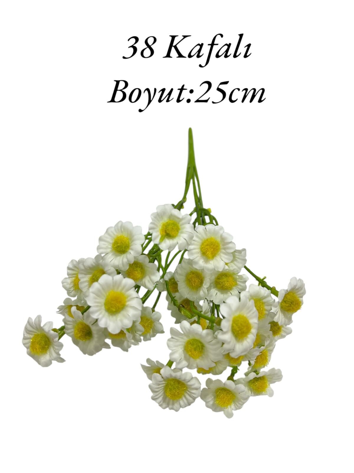Saplı Papatya