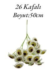 Saplı Papatya