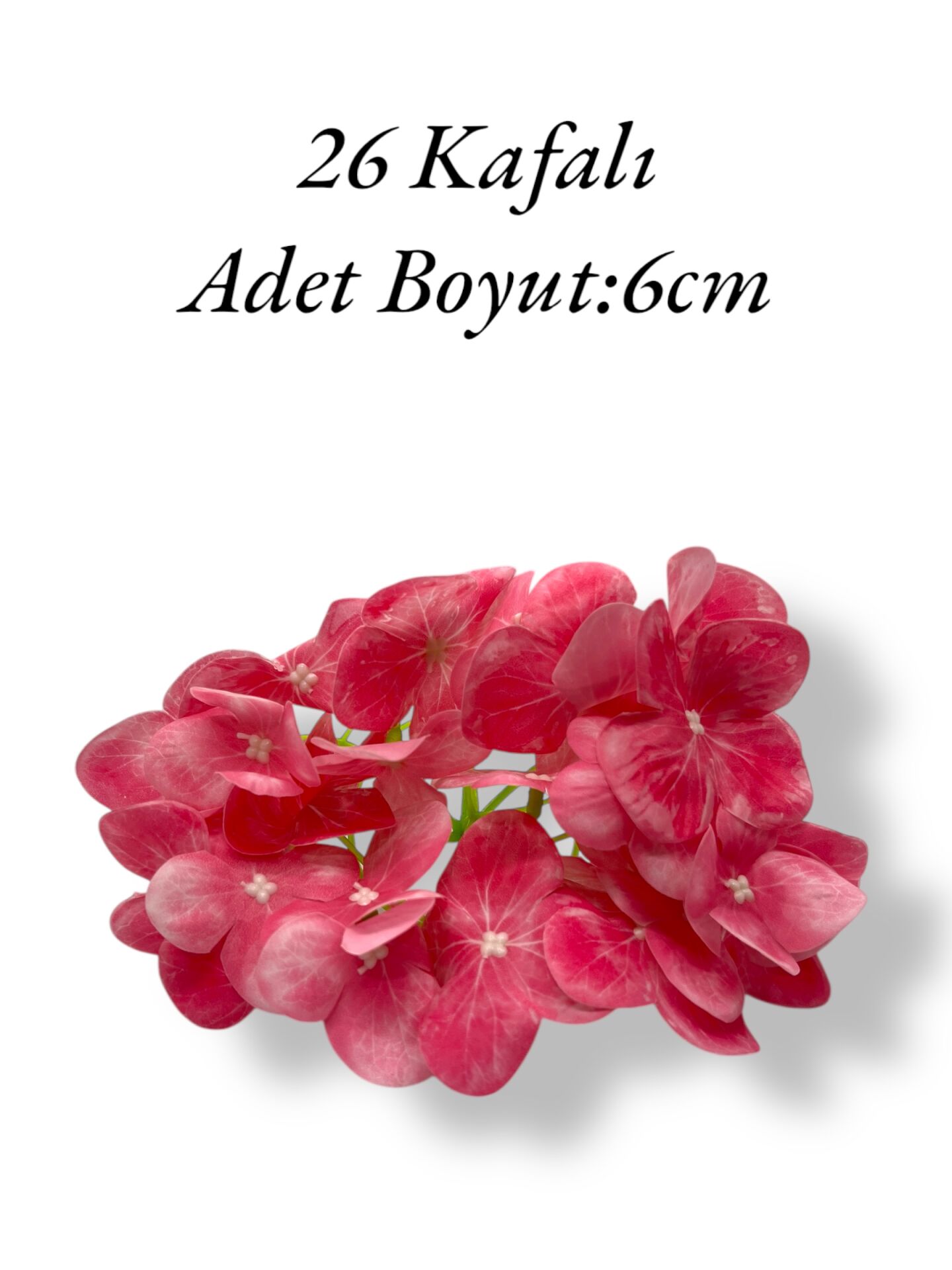 Islak Ortanca Kafa Gül Kurusu