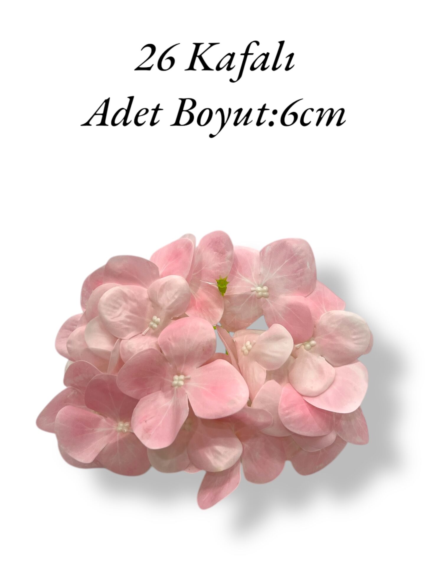 Islak Ortanca Kafa Pembe