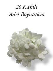 Islak Ortanca Kafa Beyaz